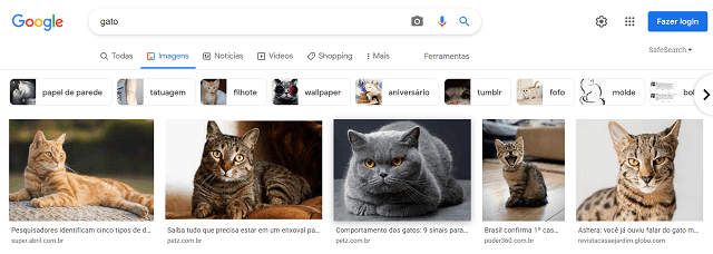 Busca pela palavra gato no Google